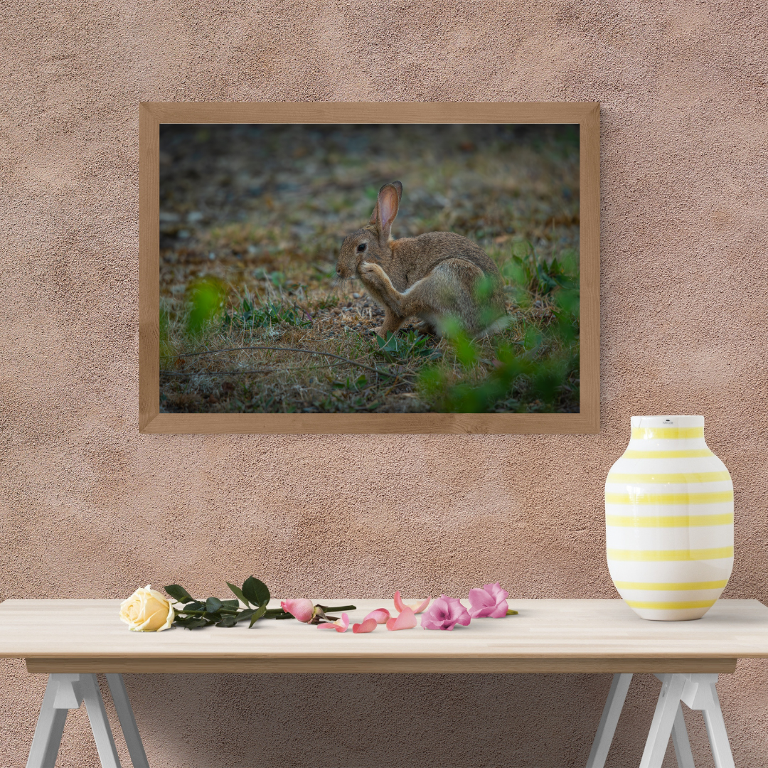 "Whiskers in the Wind" – Adorable Rabbit Woodland Print