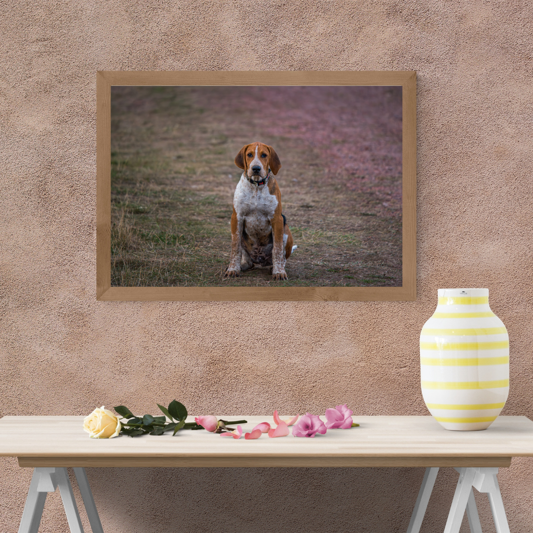 Hound Dog Portrait Print – Rustic Countryside Wall Art | Picture This Print