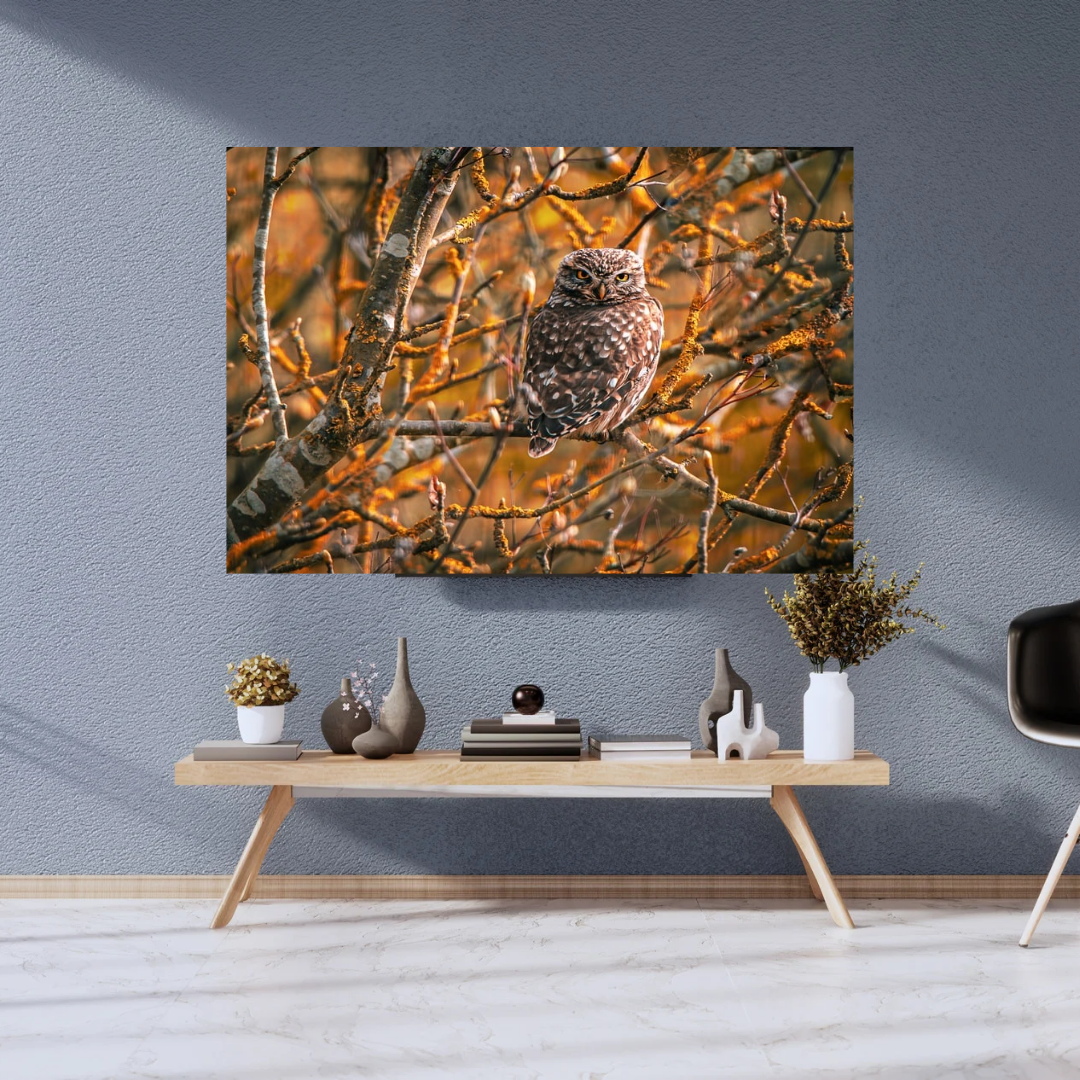 "Striking Little Owl Print – Woodland Wildlife Wall Art"
