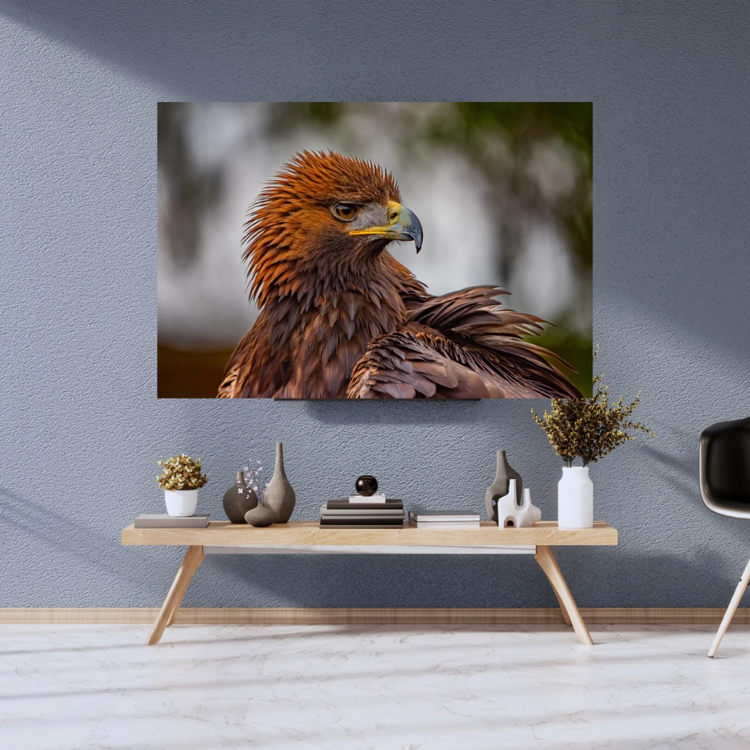 Golden Eagle Portrait Print – Majestic Wildlife Wall Art