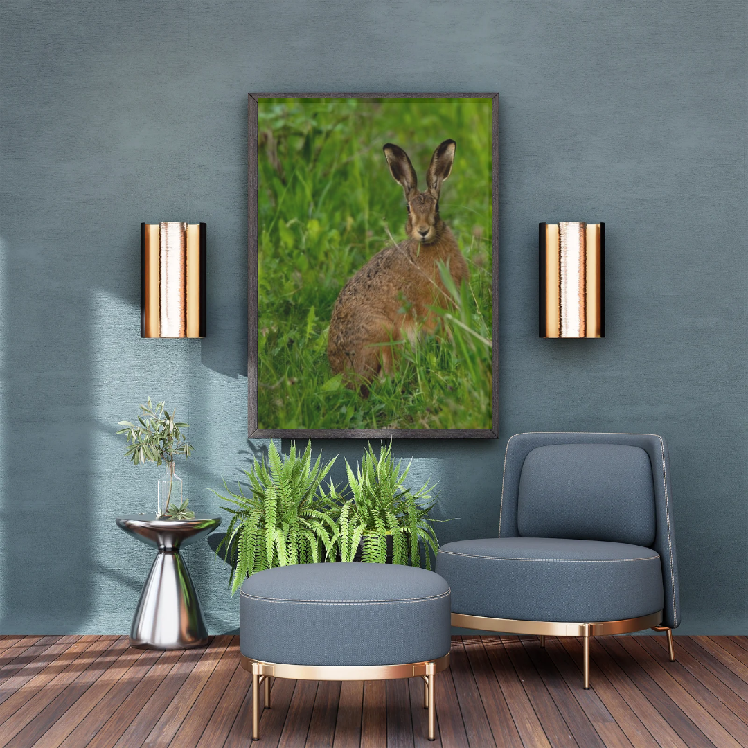 Wild Brown Hare (portrait).