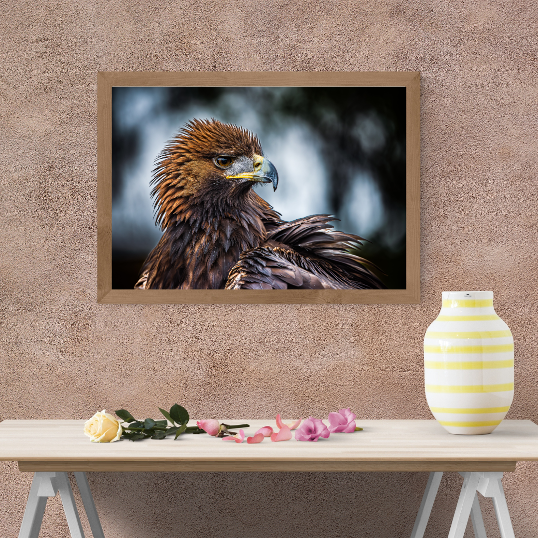 Golden Eagle Portrait Print – Majestic Wildlife Wall Art