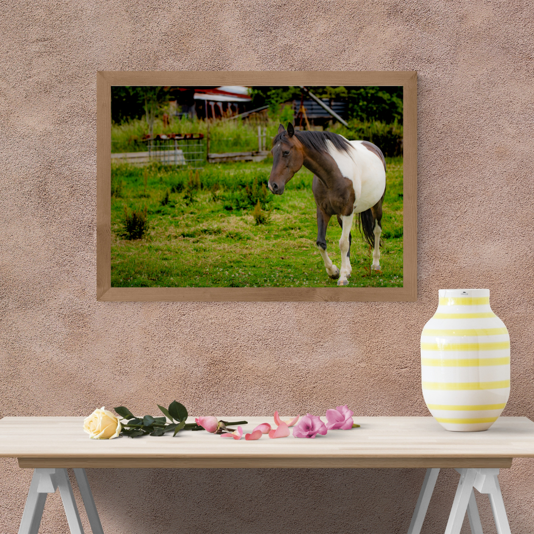 Paddock pony – Equine Wall Art Print