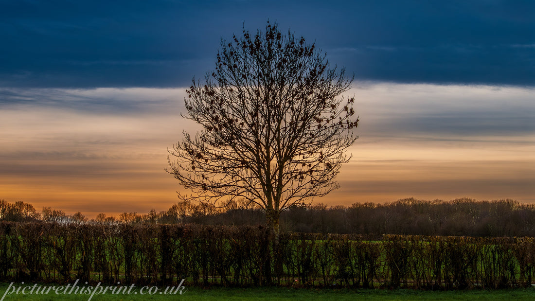Finding My Way Back Through the Lens