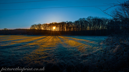 “Three Cameras, One Hope”