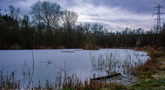 Finding Calm in Winter Light