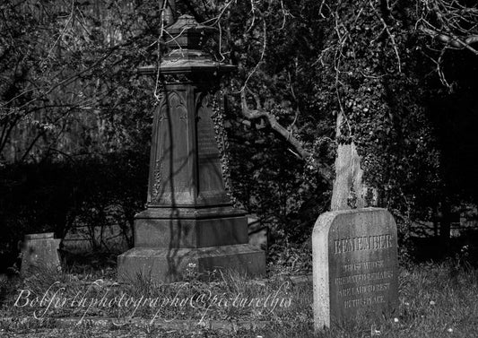 Frickley Church – The Church in the Fields