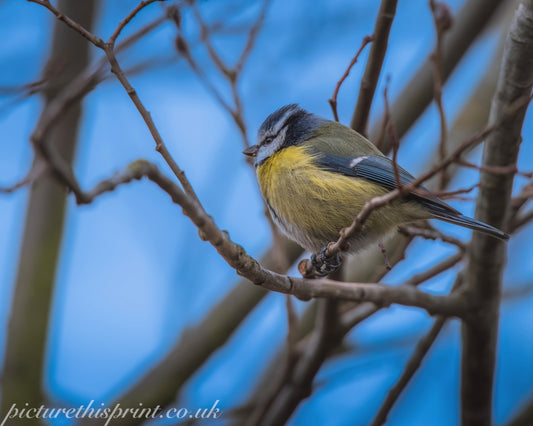 “Waiting for the Moment”