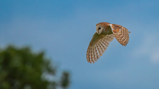 A Busy Week, A Quick Check-In, and Exciting Things Ahead