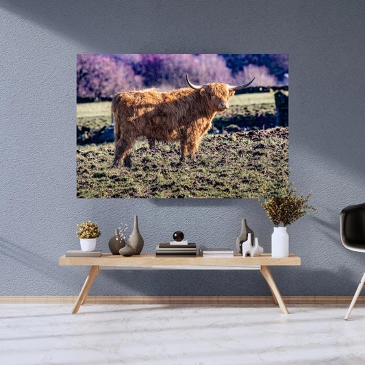 Highland Cow Print.