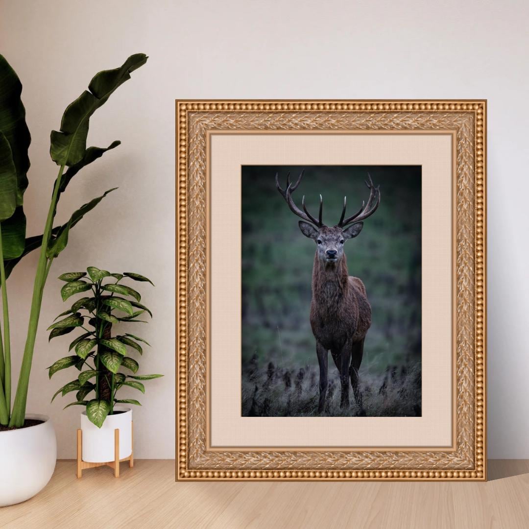 Red Stag Print | Majestic Wildlife Wall Art.