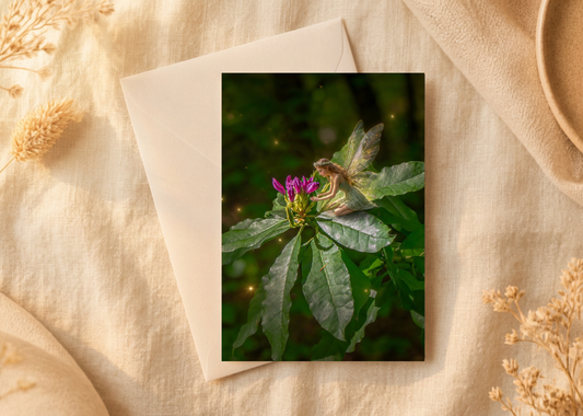 Where magic awakens/Nature with a Touch of Magic Greeting Card | A5 Blank Card | Wildlife & Nature Art
