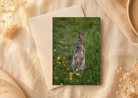 Buttercup bunny – A5 Blank Greeting Card