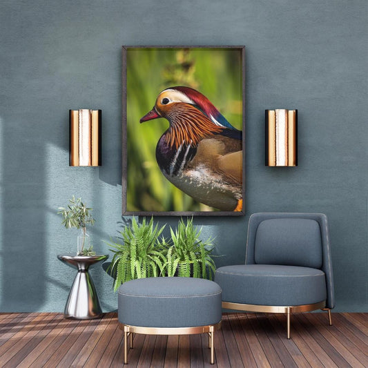 The Mandarin Duck.