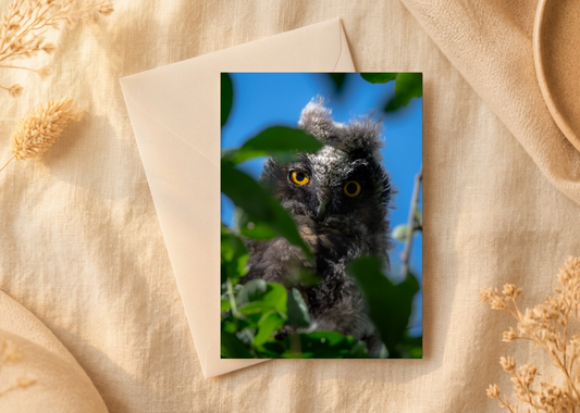 Golden gaze/Nature and wildlife Magic – A5 Blank Greeting Card
