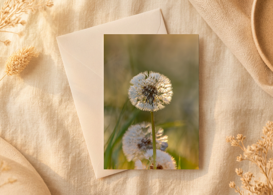 The dandelion clock/Nature and wildlife Magic – A5 Blank Greeting Card