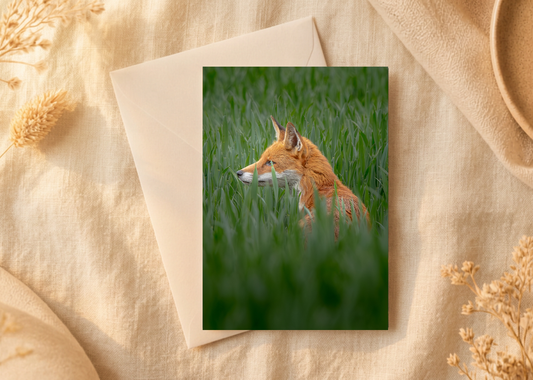 Amongst the meadow grass/Nature and wildlife Magic – A5 Blank Greeting Card