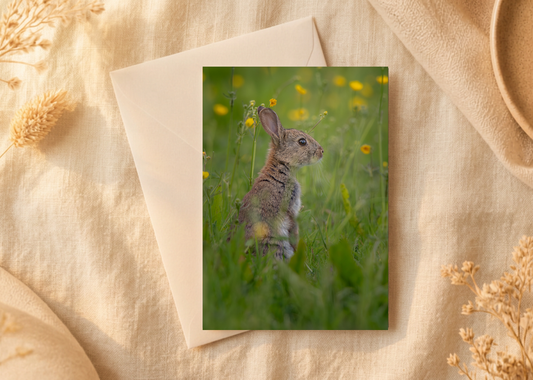 Buttercup whispers/Nature and wildlife Magic – A5 Blank Greeting Card