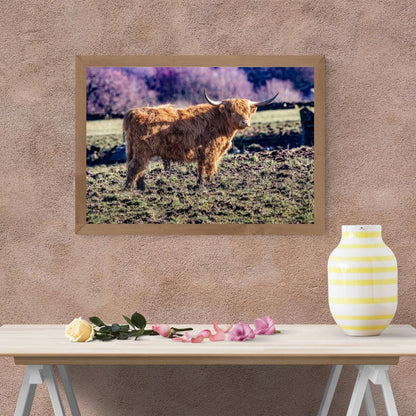Highland Cow Print.
