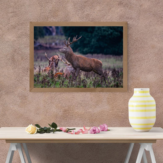 Red Stag Print Wall Art.