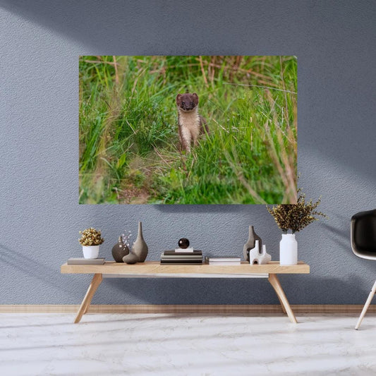 Charming Stoat.