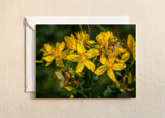 Hiding in nature's garden/Nature with a Touch of Magic Greeting Card | A5 Blank Card | Wildlife & Nature Art.