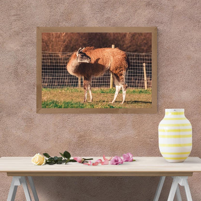 Cute Llama Wall Art.