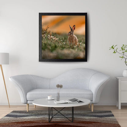 Summer Hare at Harvest