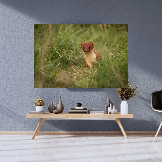 Charming Stoat Art Print