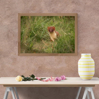 Charming Stoat Art Print