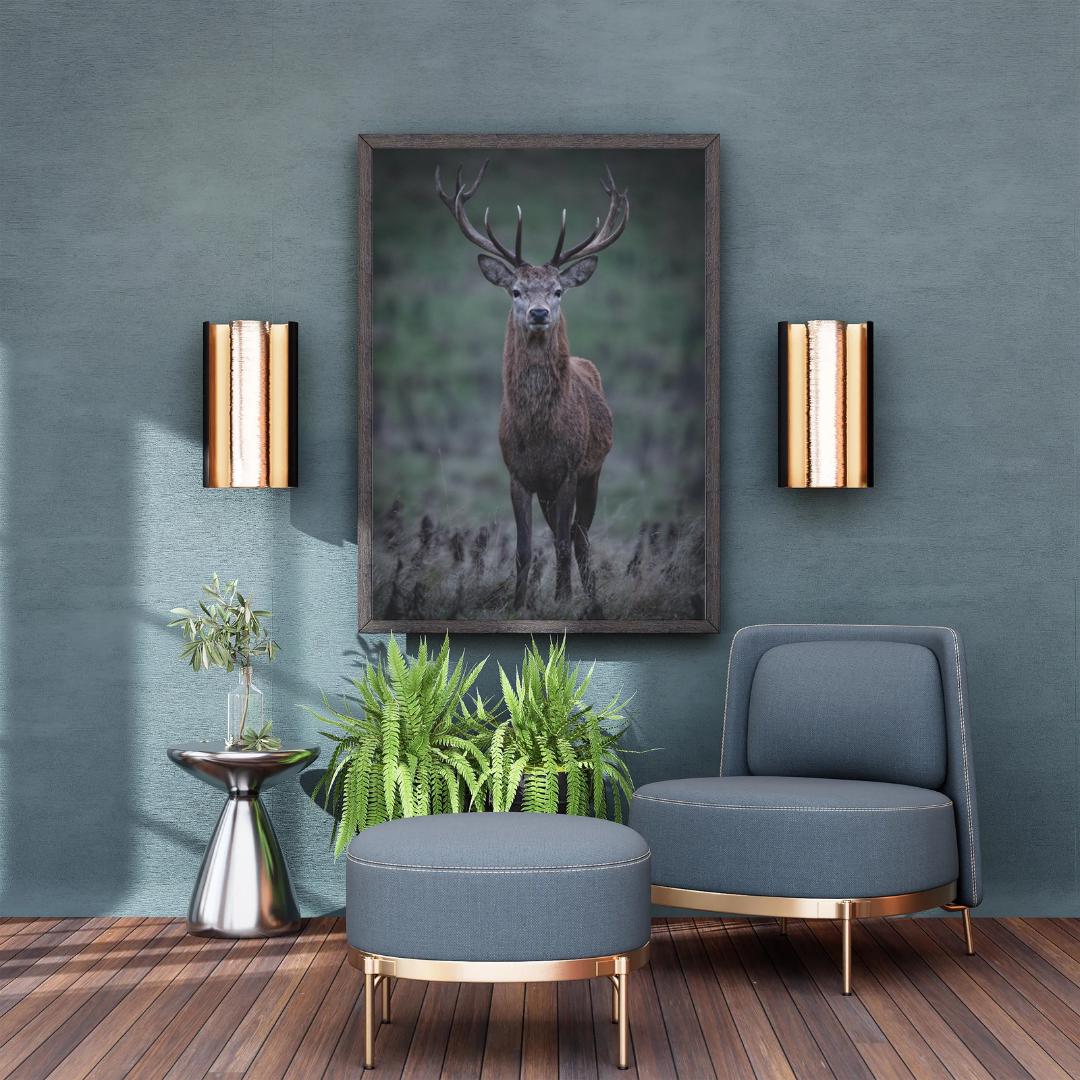 Red Stag Print | Majestic Wildlife Wall Art.