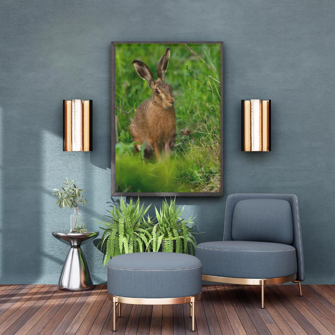 Wild Brown Hare (portrait).