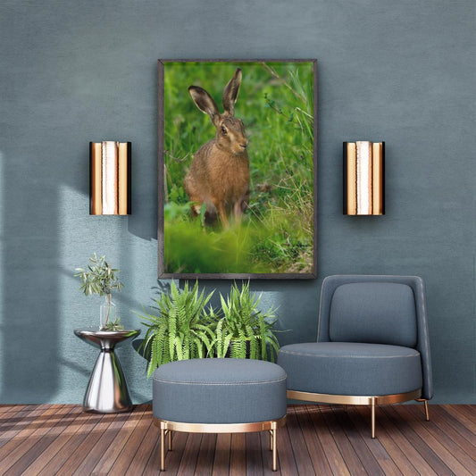 Wild Brown Hare (portrait).