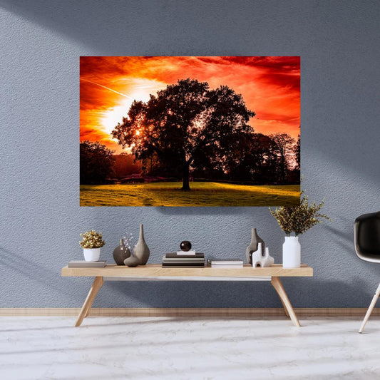 The Tree of life.