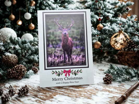 Stag Christmas Card