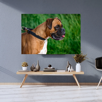 "Majestic Boxer – Fine Art Dog Portrait Print"