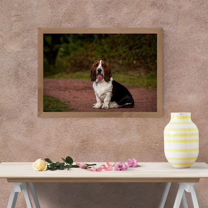Basset Hound at Frickley – Limited Edition Print