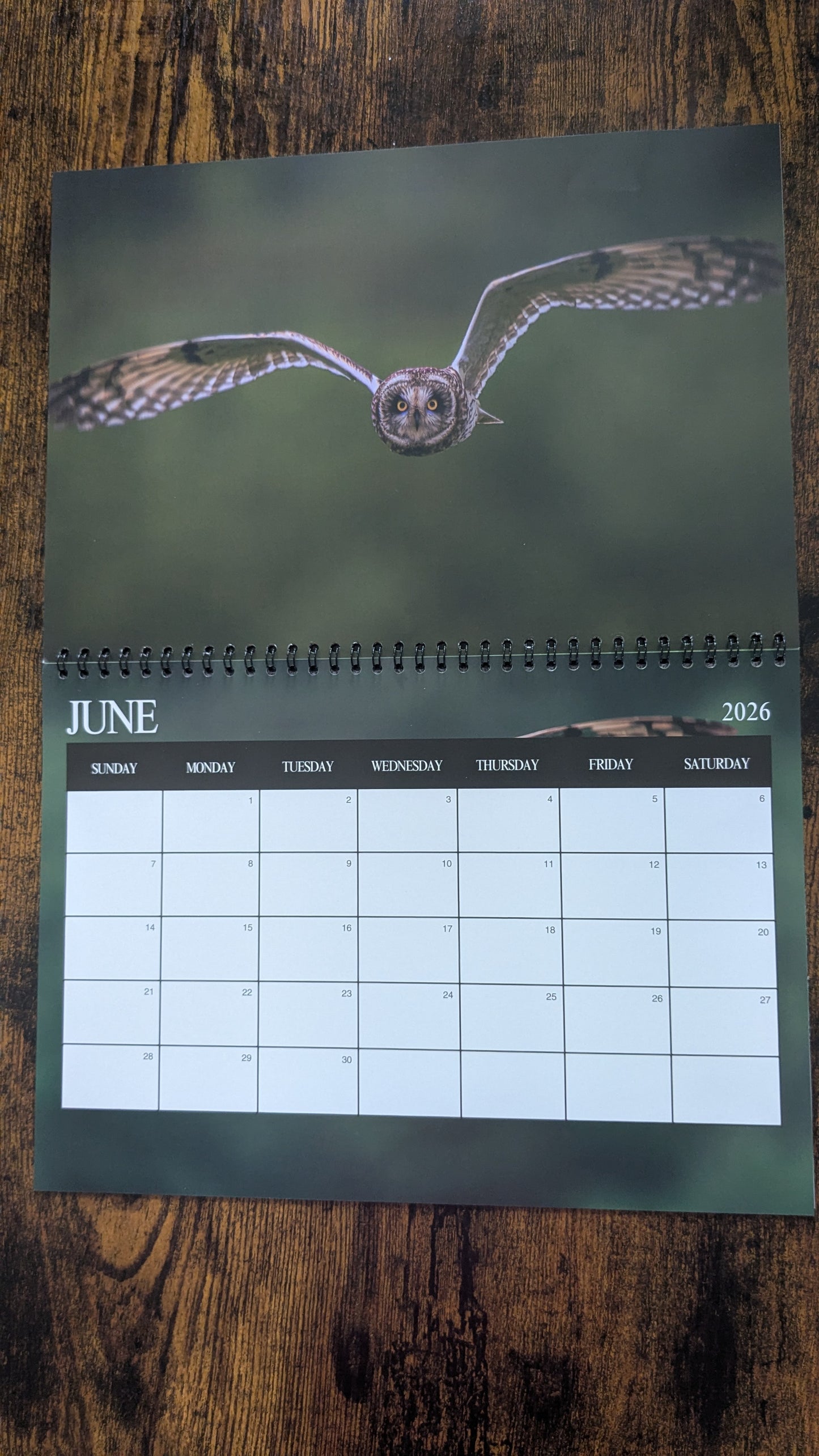 Pre-Order 2026 Nature & Wildlife Calendar (FREE October Shipping)