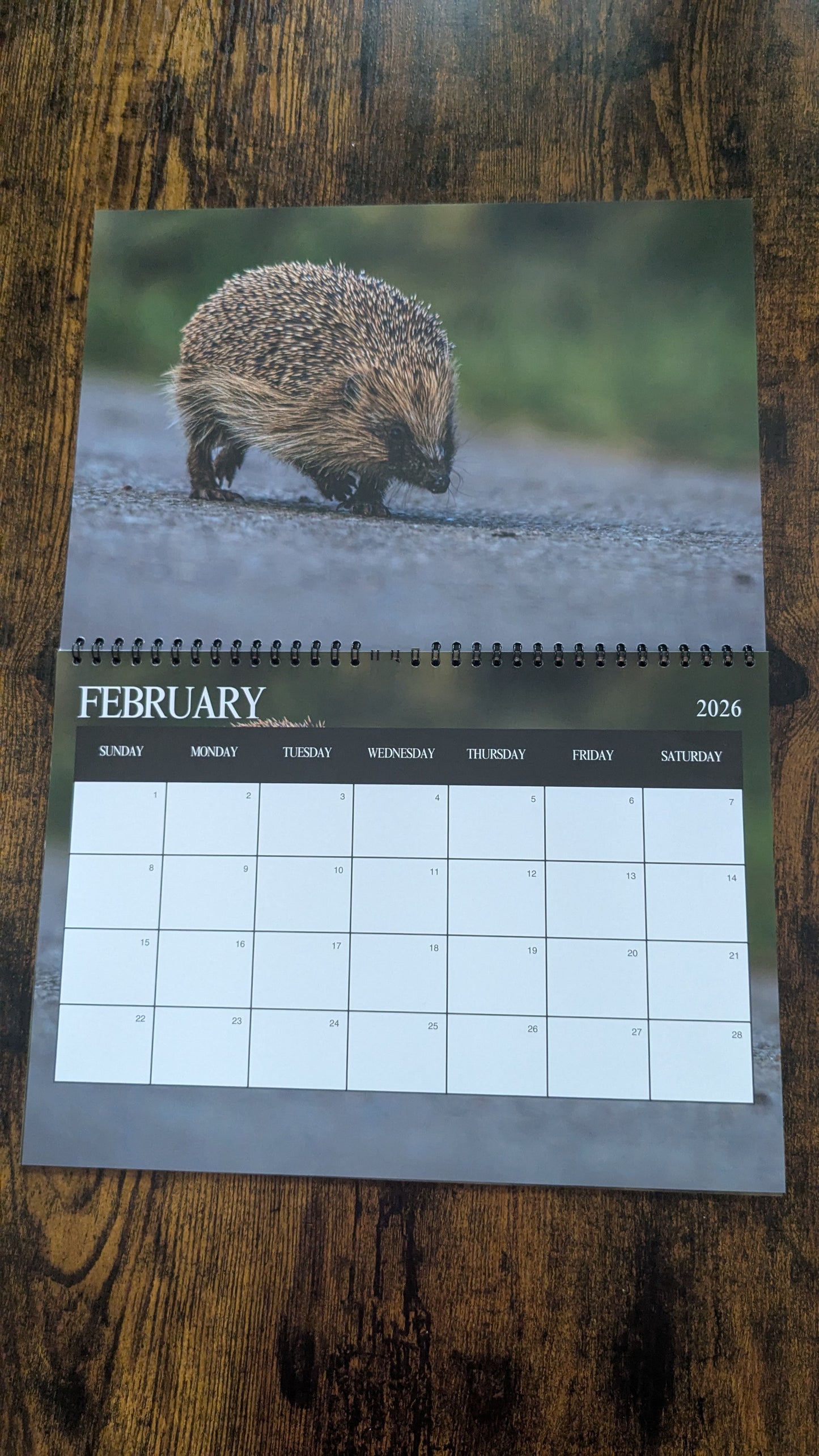 Pre-Order 2026 Nature & Wildlife Calendar (FREE October Shipping)