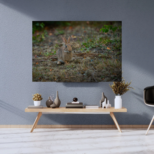 "Whiskers in the Wind" – Adorable Rabbit Woodland Print