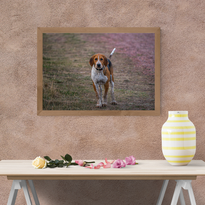 Hound Dog Portrait Print – Rustic Countryside Wall Art | Picture This Print