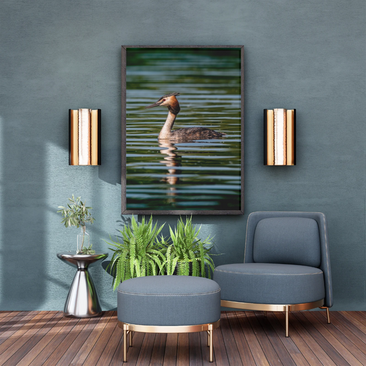 Grace of the Grebe – Tranquil Water Bird Print.