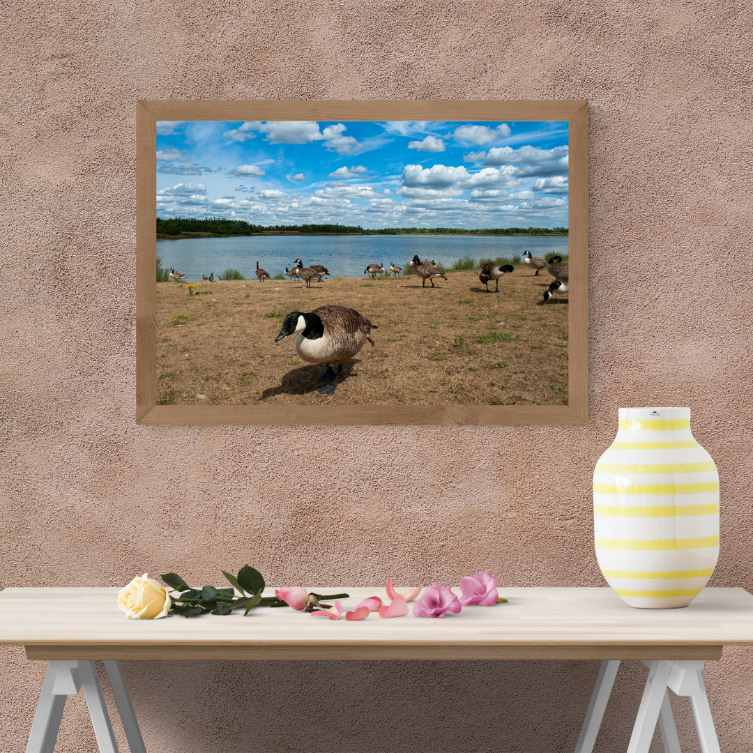 Curious Goose by the Water’s Edge – Nature Print