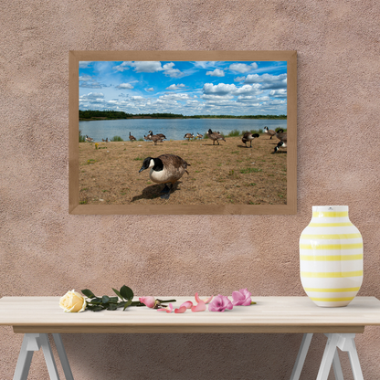 Curious Goose by the Water’s Edge – Nature Print