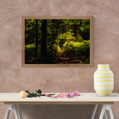 Tranquil Green Woodland Path – Nature Photography for Calm and Mindfulness.
