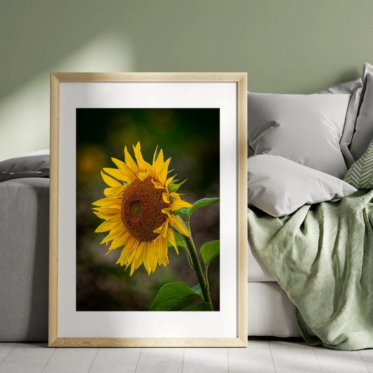 Beautiful Sunflower Portrait – Vibrant Yellow Wall Art Print
