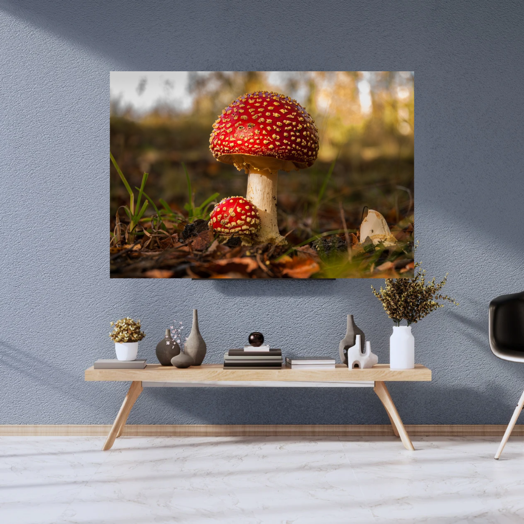 Fly Agaric Mushroom Print – Autumn Woodland Photography, Magical Nature Wall Art