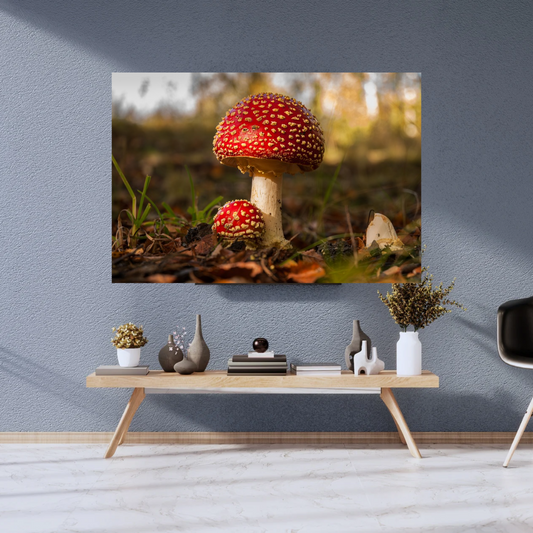 Fly Agaric Mushroom Print – Autumn Woodland Photography, Magical Nature Wall Art