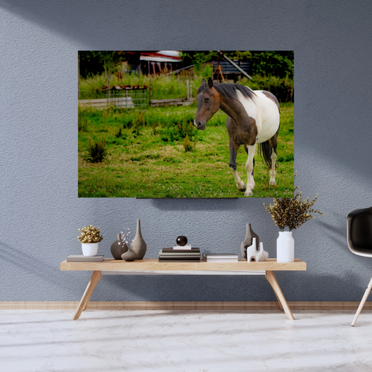 Paddock pony – Equine Wall Art Print