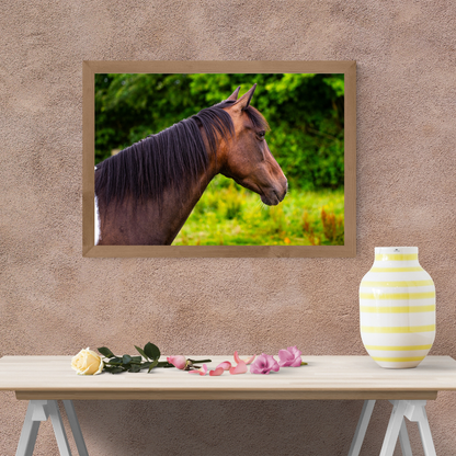 Paddock pony portrait – Equine Wall Art Print